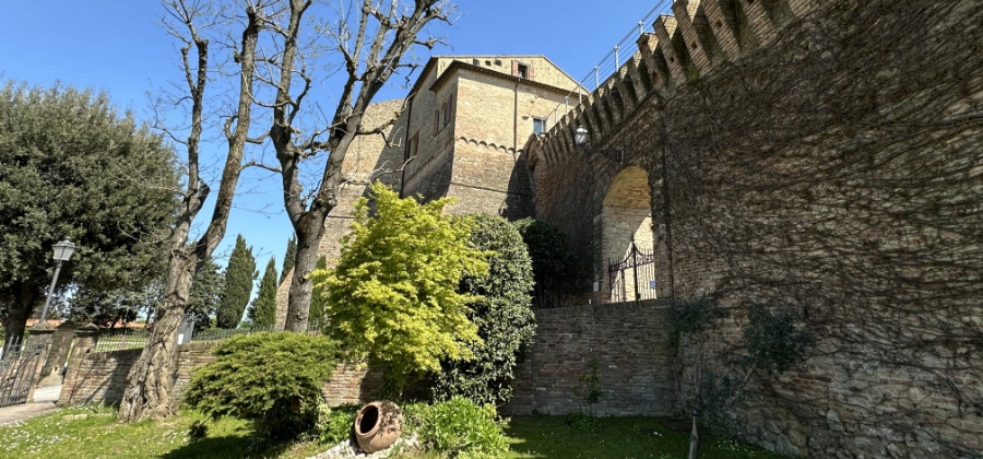 Bertinoro
